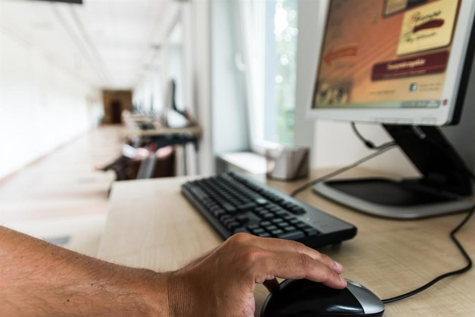 A person looking for online resources at a library