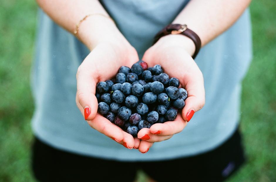 A person holding blueberries in her hand. Nutrition Wellness concept